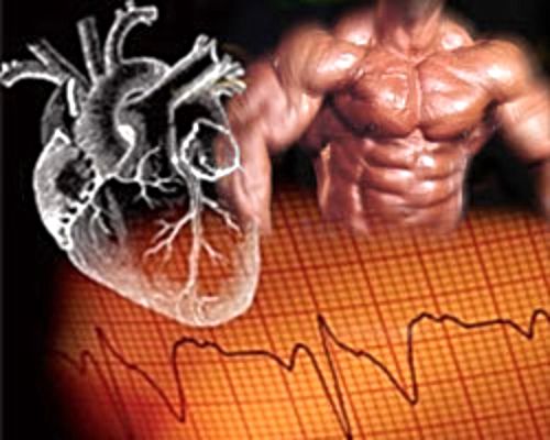 Каково влияние стероидов на вашу сердечнососудистую систему?